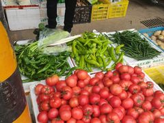 -西北农副产品中心批发市场(广安路店)