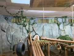 -深圳野生动物园