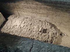 -鸿山遗址博物馆