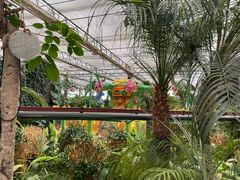 -南宫五洲植物乐园