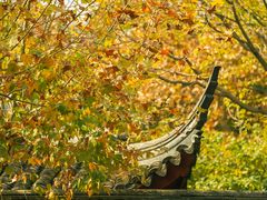 -苏州文庙(姑苏区)