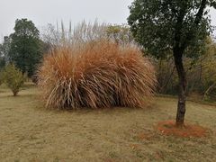 -盘龙城国家考古遗址公园