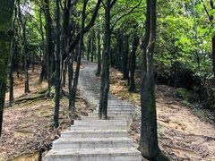 -火炉山森林公园