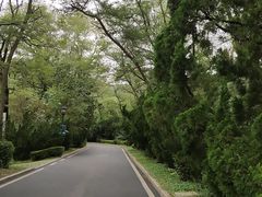 -棒棰岛宾馆景区