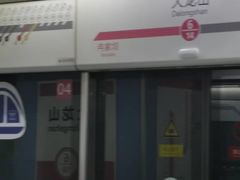 -大龙山(地铁站)