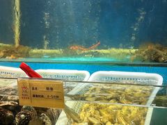 -悦鼎汇海鲜姿造