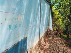 -上海佘山国家森林公园天马山园