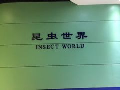 -上海昆虫博物馆