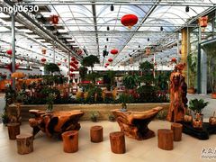 -龙凤山庄(永定镇店)