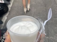 -洪馨椰子