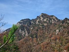 -王顺山国家森林公园