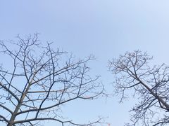 -广州雕塑公园