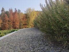 -同里国家湿地公园