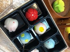 -帝京日语(春熙路旗舰校区)