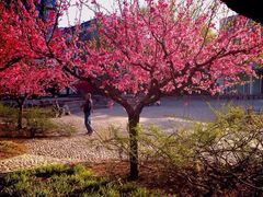 iphone_upload_pic-南馆公园