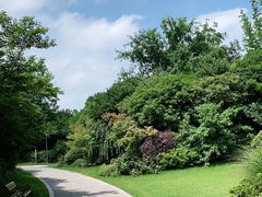 -桃花岛景观公园