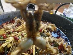 -靓蛙馆