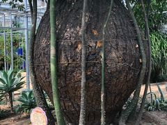 -龙达温泉生态城