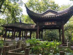 -上海佘山国家森林公园天马山园