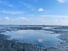 -南汇嘴观海公园