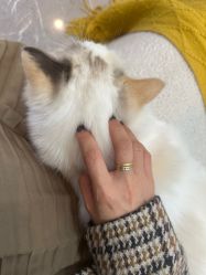 -元一肌肤管理中心