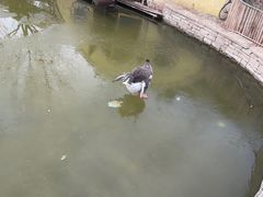 -南宫五洲植物乐园