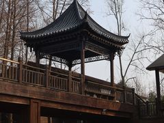 -溱湖国家湿地公园