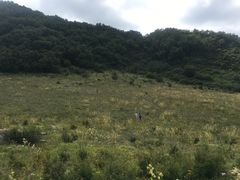 -白草畔自然风景区