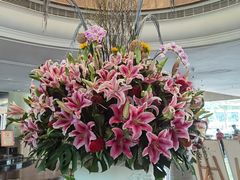 -深圳阳光酒店