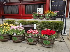 -浅草寺