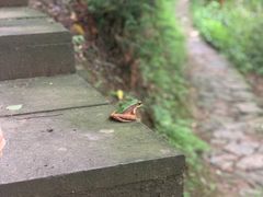 -宁波五龙潭景区