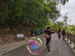 -贵阳市花溪国家城市湿地公园