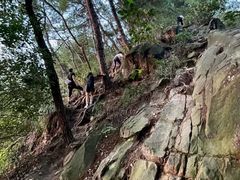 -南山植物园