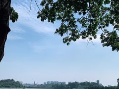 -松山湖南湖湾露营营地
