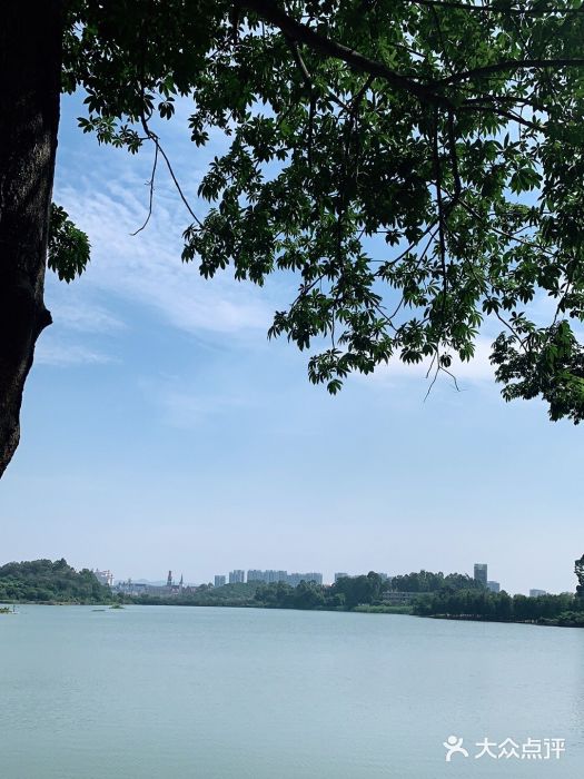 松山湖南湖湾露营营地图片