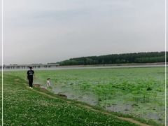 -丁香湖公园