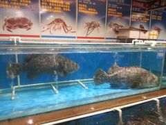 android_upload_pic-御唐府海珊瑚主题餐厅