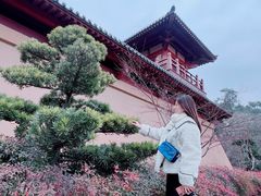-习家池