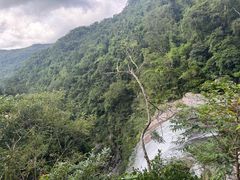 -海南热带雨林国家公园吊罗山景区