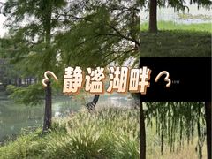 -贡湖湾湿地公园