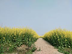 -中国天府农业博览园