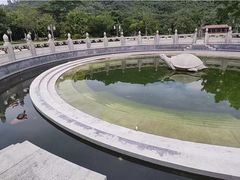 -顺峰山公园