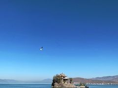 -小普陀