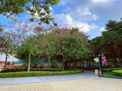 -史努比缤纷世界