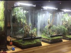 -趣陶陶艺手工坊(新世界百货重庆店)