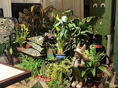 -Thai Basil罗勒叶泰式餐厅(时代天街店)