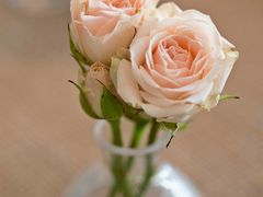 -桂桂茶(万嘉广场店)