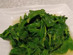 大叶子豆苗-宏玲餐厅(四川南路店)