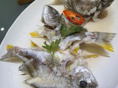 -大门水乡·顺德菜