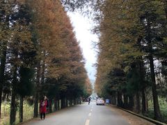 -山王坪喀斯特国家生态公园